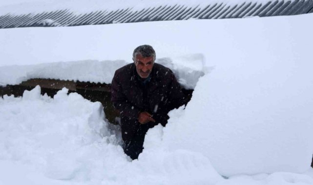 Muş&#039;ta 1600 rakımlı köy kara gömüldü