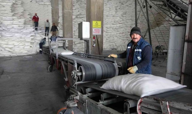 Muş&#039;ta 38 bin 290 ton şeker üretimi yapıldı