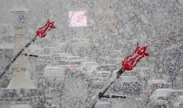 Muş'ta lapa lapa kar yağışı renkli görüntüler oluşturdu