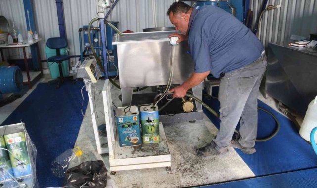 Mut zeytinyağı, Azerbaycan ve Avrupa ülkelerine ihraç ediliyor