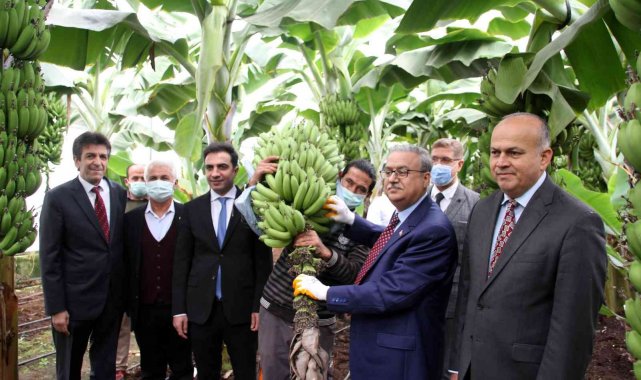 Muzda 6 çeşit tescillenecek