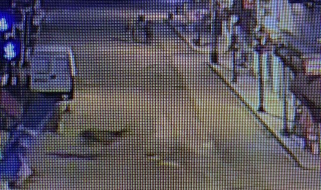 Nallıhan'da kızıl geyik polis kameralarına da takıldı