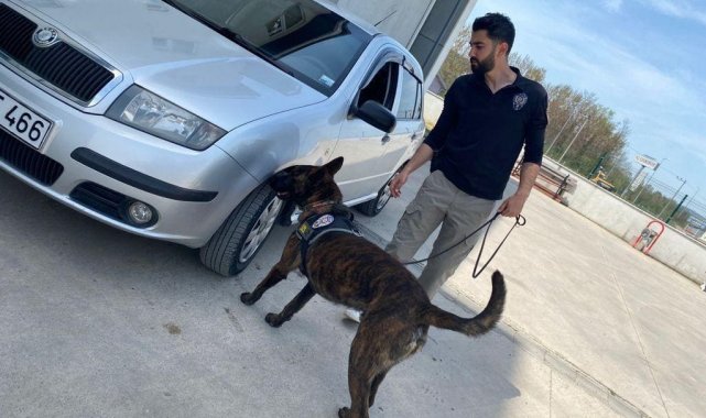 Narkotik köpeği &#039;Sis&#039; uyuşturucuya geçit vermiyor