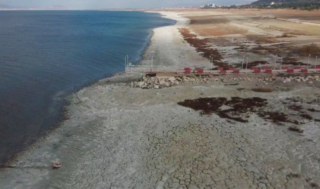 Nesli tükenmekte olan Dikkuyrukların kış durağı kuruyor