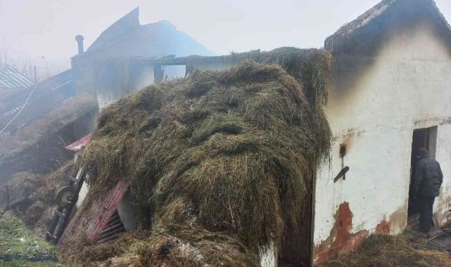 Ordu'da ahır yangınında 3 hayvan telef oldu