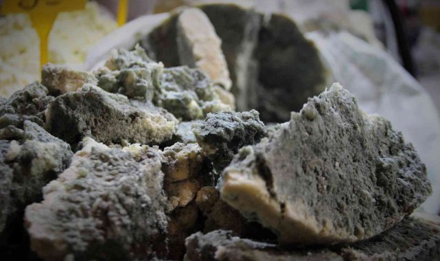 Organik yeşillenen vazgeçilmez lezzet: "Küflü peynir"