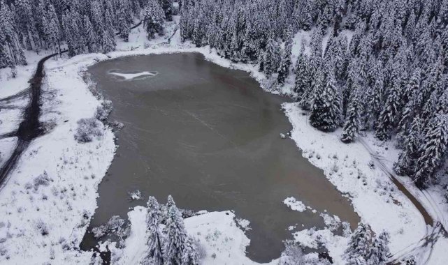 Orman manzaralı Sarıçiçek Göleti buz tuttu
