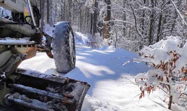 Orman Müdürlüğü yoğun kar altında nakliyatlara devam ediyor