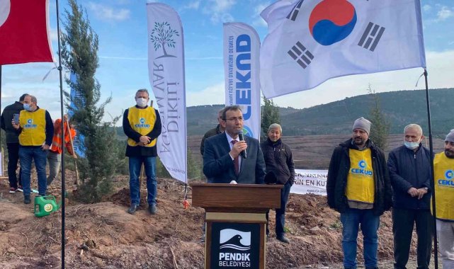 Orman yangınında Güney Koreli vatandaşların bağışladığı fidanlar, Pendik'te hayat buldu