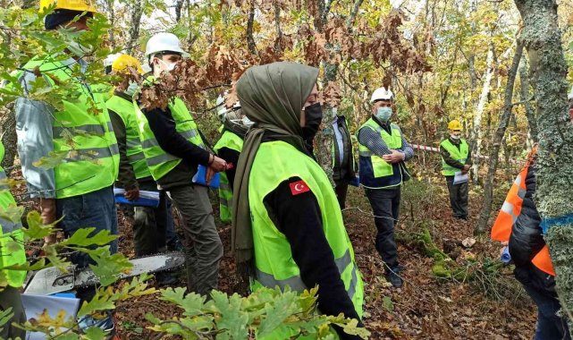 Ormanlarda uygulamalı eğitim