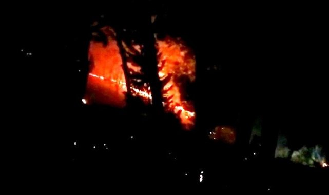 Osmaniye'de çıkan orman yangını büyümeden söndürüldü