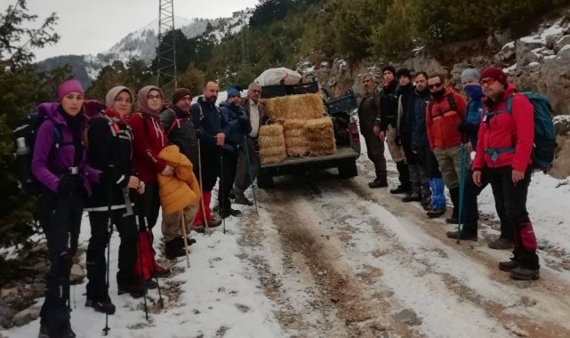 Osmaniye'de yaban hayvanlarına yem desteği