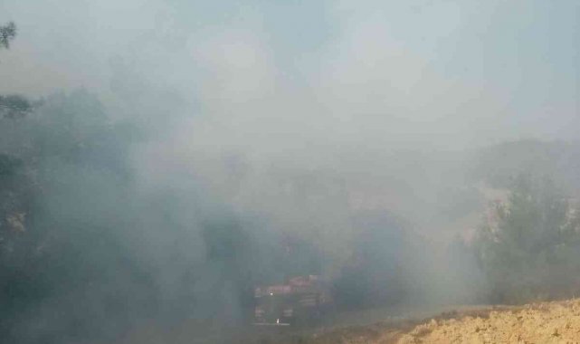 Osmaniye'deki orman yangını büyümeden söndürüldü
