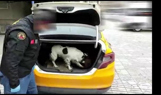 Otomobilde uyuşturucuyu sakladıkları yer şaşırttı
