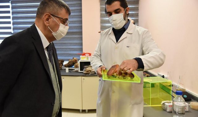 PAÜ Rektörü Kutluhan, Düzce Üniversitesi'nde temaslarda bulundu