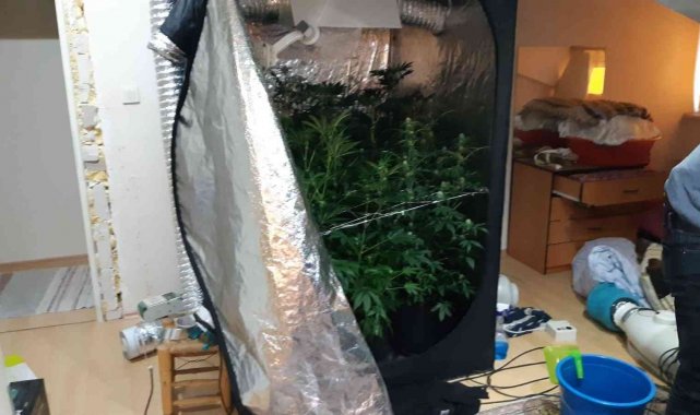 Pendik'te evlerinde uyuşturucu yapıp, satan 3 kişi yakalandı