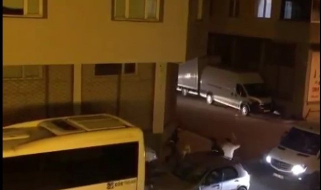 Pendik'te hem köpeğe hem köpeğin sahibine sopalı saldırı