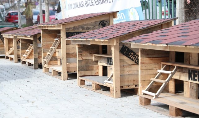 Pet Kafe ve Mama Üretim Tesisi Türkiye'ye örnek oldu
