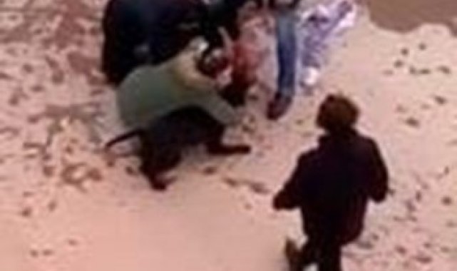 Pitbull saldırısına uğrayan Asiye, Antalya&#039;ya sevk edildi