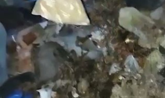 Polis duvarı kırıp geçti: Zulada kalaşnikof ele geçirildi