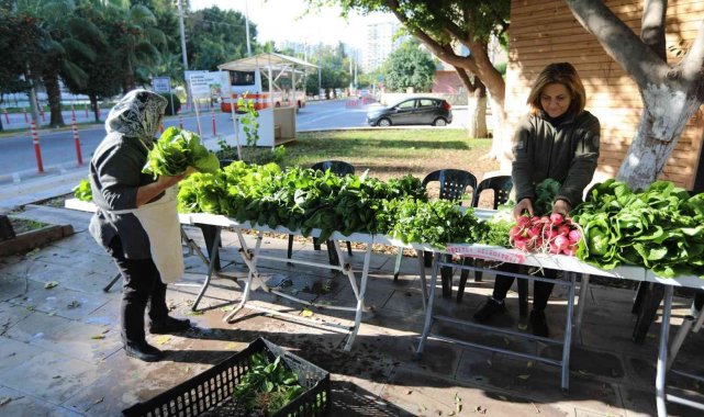 Profesör de iş insanı da doktor da pazarda sebze satıyor