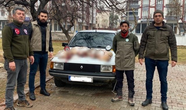 Projektörle tavşan avlayanlara 24 bin lira ceza