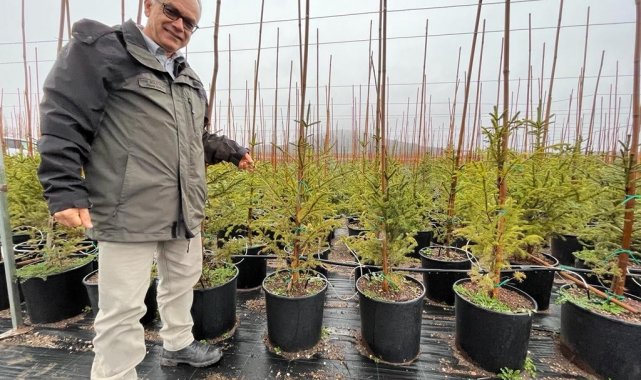 &quot;&#039;Yılbaşını kutlamak istiyorum&#039; diyorsanız, bunun doğamıza da faydası olsun&quot;