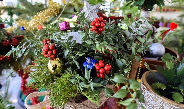 Rengarenk yılbaşı çiçekleri başkentlileri bekliyor