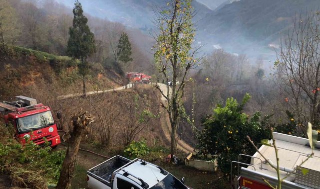 Rize'nin Fındıklı ilçesinde çıkan yangın kontrol altına alındı