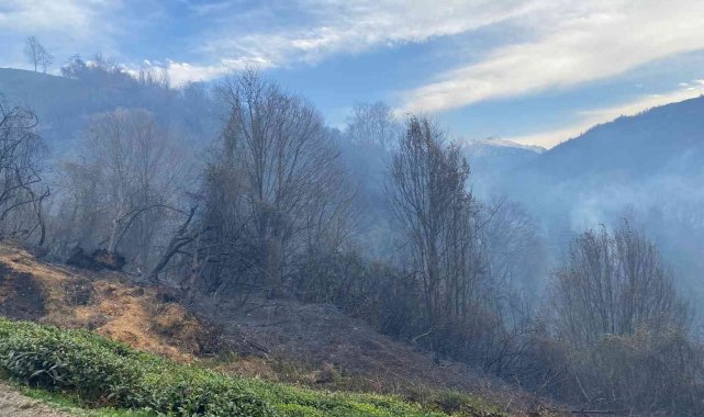 Rize'nin Fındıklı ilçesinde yangın