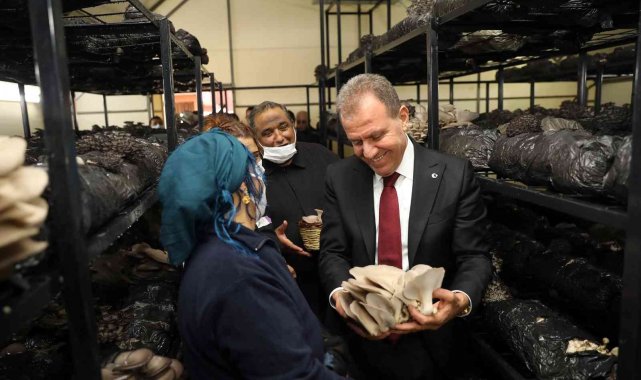 Roman aileler için kurulan mantar tesisinde ilk hasat yapıldı