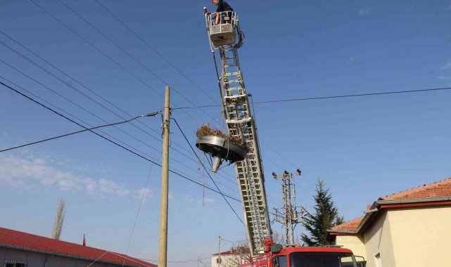 Rüzgar nedeniyle yıkılan leylek yuvası onarıldı