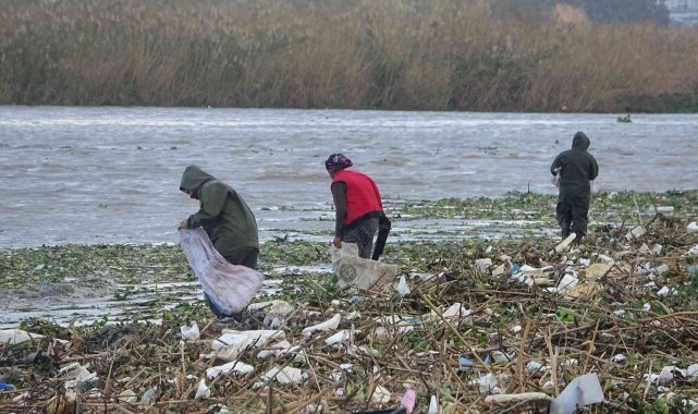 Sahile vuran odunlar kışlık yakacakları oldu