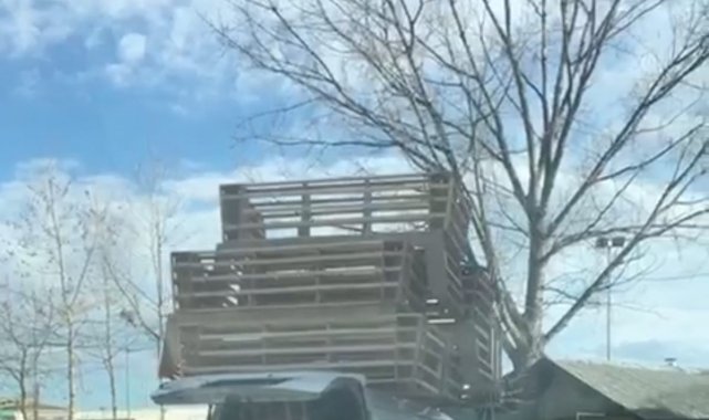 Sallanan iskeletleri gören telefona sarıldı