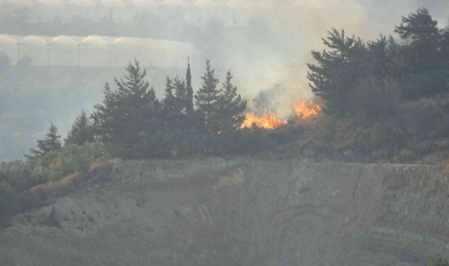 Samandağ'da çıkan bitki örtüsü yangını kürek yardımıyla söndürüldü