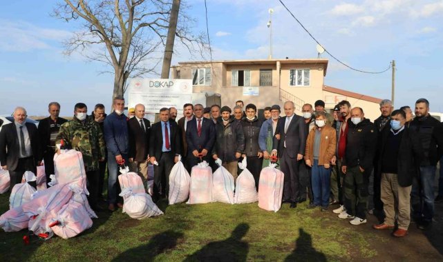 Samsun'da İsrail sazanı ile mücadele başladı