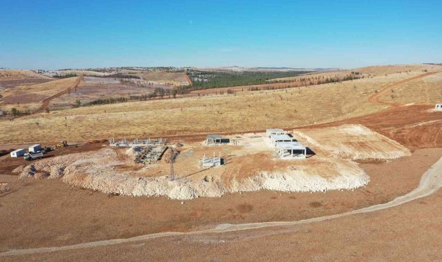 Şanlıurfa'da sokak hayvanları için rehabilitasyon merkezi kuruluyor