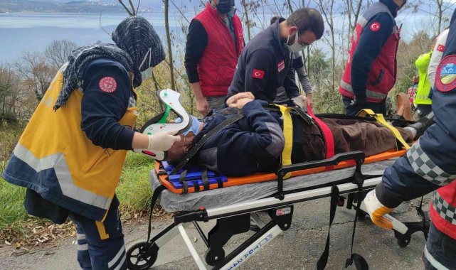 Şarampole çekilen çitler hayatını kurtardı