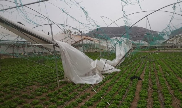 Şiddetli fırtınada seralar adeta yerle bir oldu