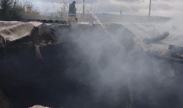 Siirt&#039;te ahırda çıkan yangında 5 hayvan telef oldu