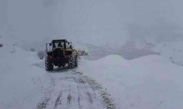 Siirt'te kar yolları kapattı
