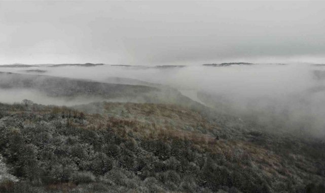 Şile ormanları kara ve sise büründü