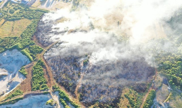 Şili&#039;de orman yangınları kontrol altına alınamıyor