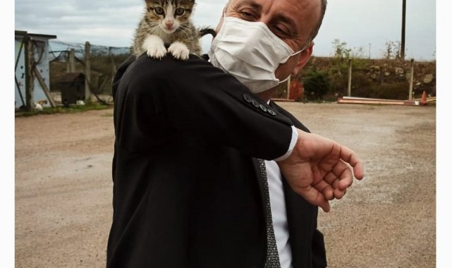 Sinop Belediyesi'nden 'sokak hayvanları' açıklaması