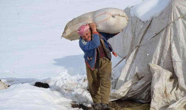 Şırnak'ta 4 yıldır yaylada tek başına eksi 30 derecede yaşıyor