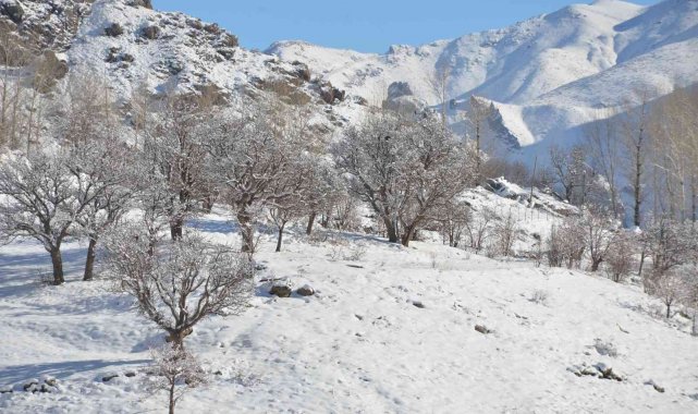 Şırnak'ta termometreler eksi 21 dereceyi gösterdi, dereler dondu