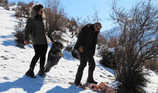 Şırnak'ta yaban hayvanları için yem bırakıldı