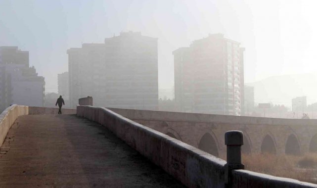 Sis ve kırağı eşsiz görüntüler oluşturdu