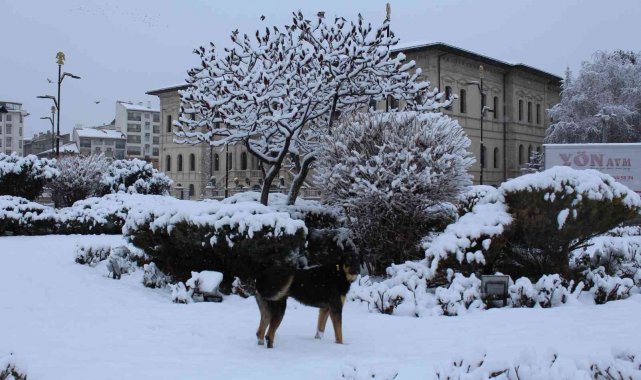 Sivas'ta 234 köy yolu araç ulaşımına kapandı