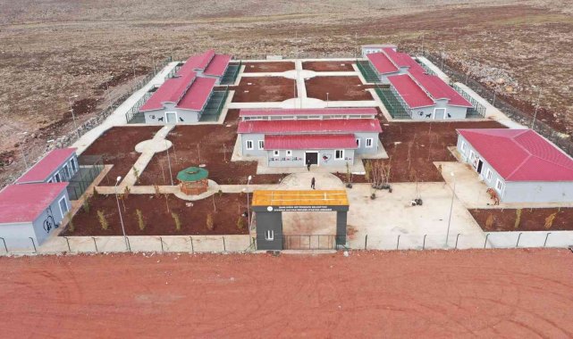 Siverek hayvan rehabilitasyon merkezi açılışa hazır